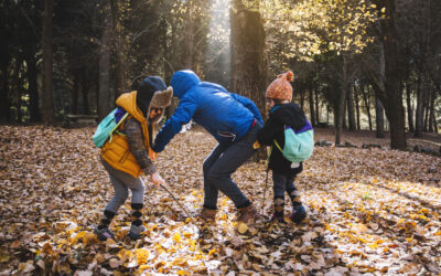 Herbst in Winterberg und Niedersfeld: Farben, Ruhe und Erlebnisse
