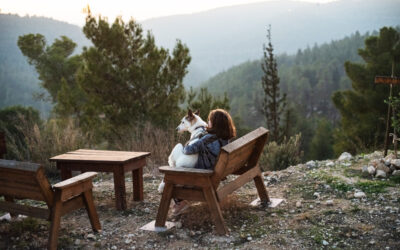 Wandern mit Hund rund um Am Eschenberg – Aussicht genießen und Natur erleben