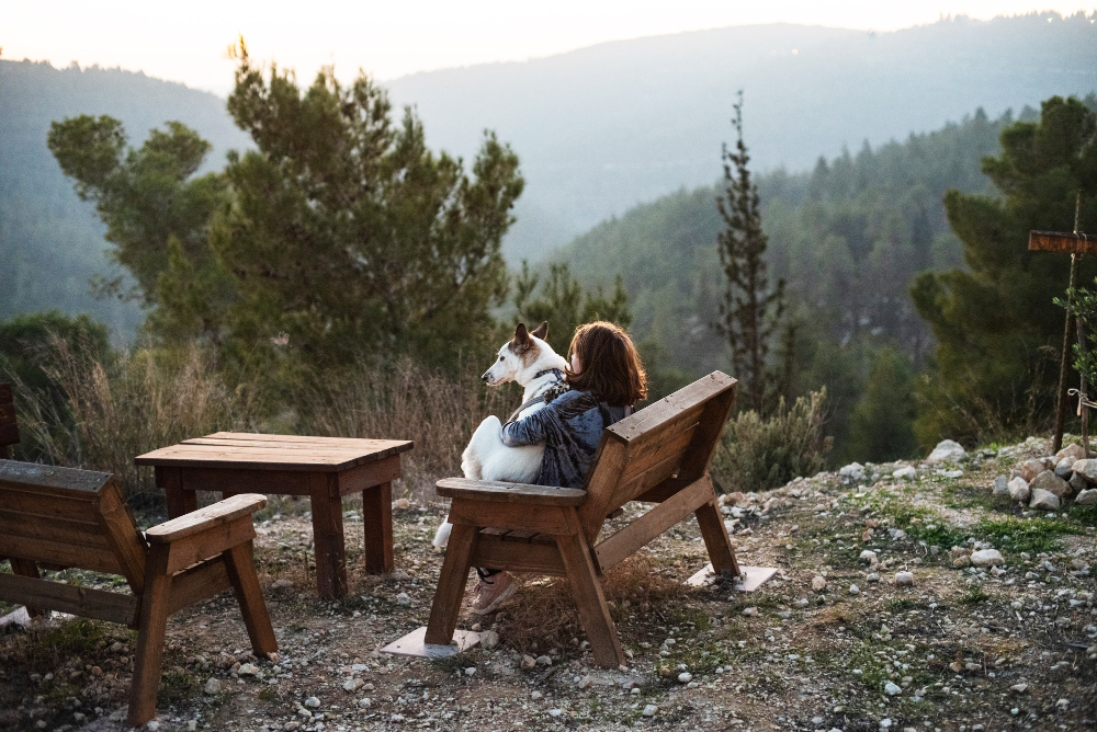 Wandern mit Hund rund um Am Eschenberg – Aussicht genießen und Natur erleben