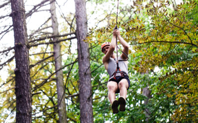 Adrenalin im Sauerland: Zipline & Flyline rund um Winterberg erleben