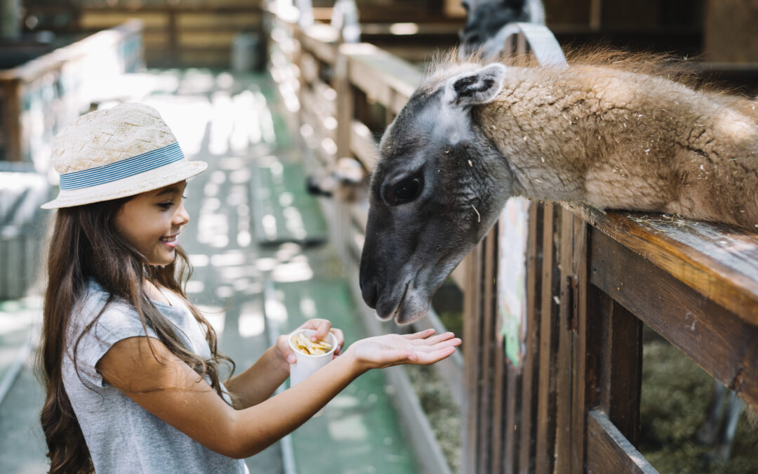 Ein Tag im Bilsteintal – Tiere, Natur und Höhlenabenteuer im Sauerland