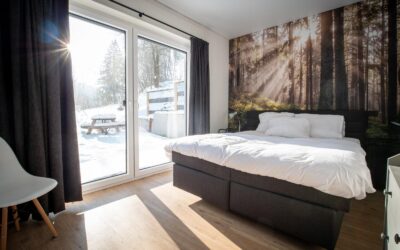 Warum ein Apartment in Winterberg die bessere Wahl ist als ein Hotel