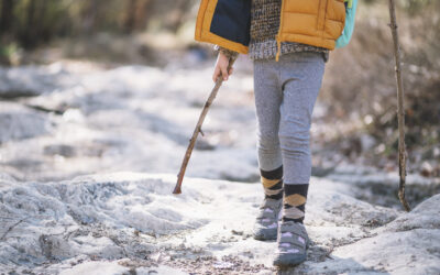Was man rund um Winterberg alles erleben kann