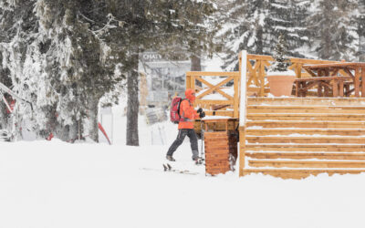 Warum immer mehr Menschen sich für einen Kurzurlaub in einem Apartment in Winterberg entscheiden