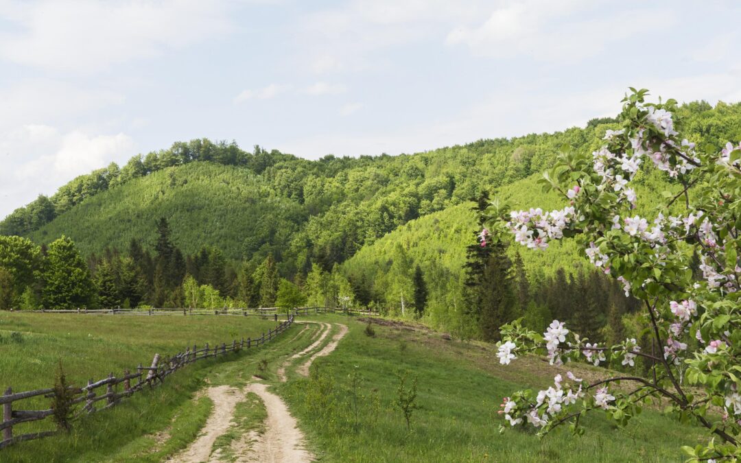 Meivakantie in Winterberg: waarom dit de perfecte periode is voor gezinnen