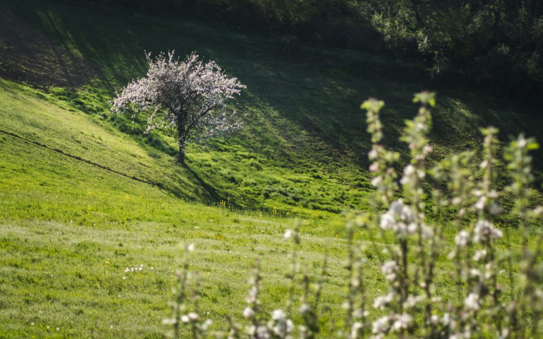 Wat kun je in de lente doen in Winterberg en het Sauerland?