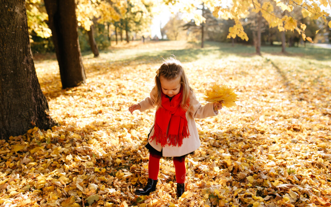 Herbstferien mit Kindern in Winterberg: 7 schöne Aktivitäten im Oktober